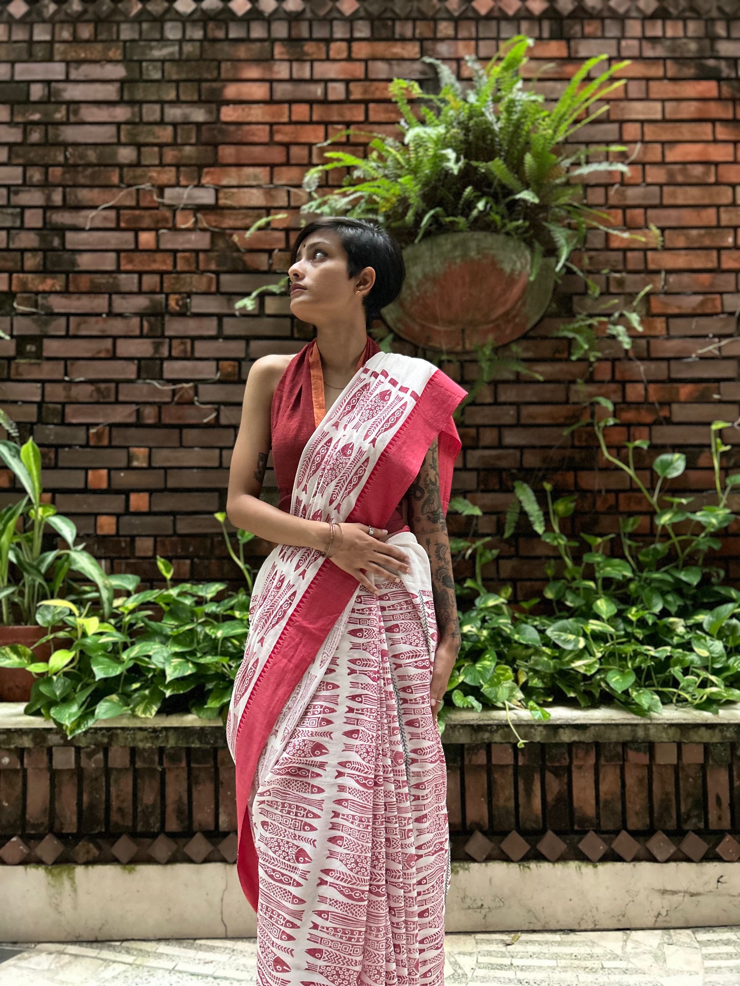 laal shada jhaank-parshey saree
