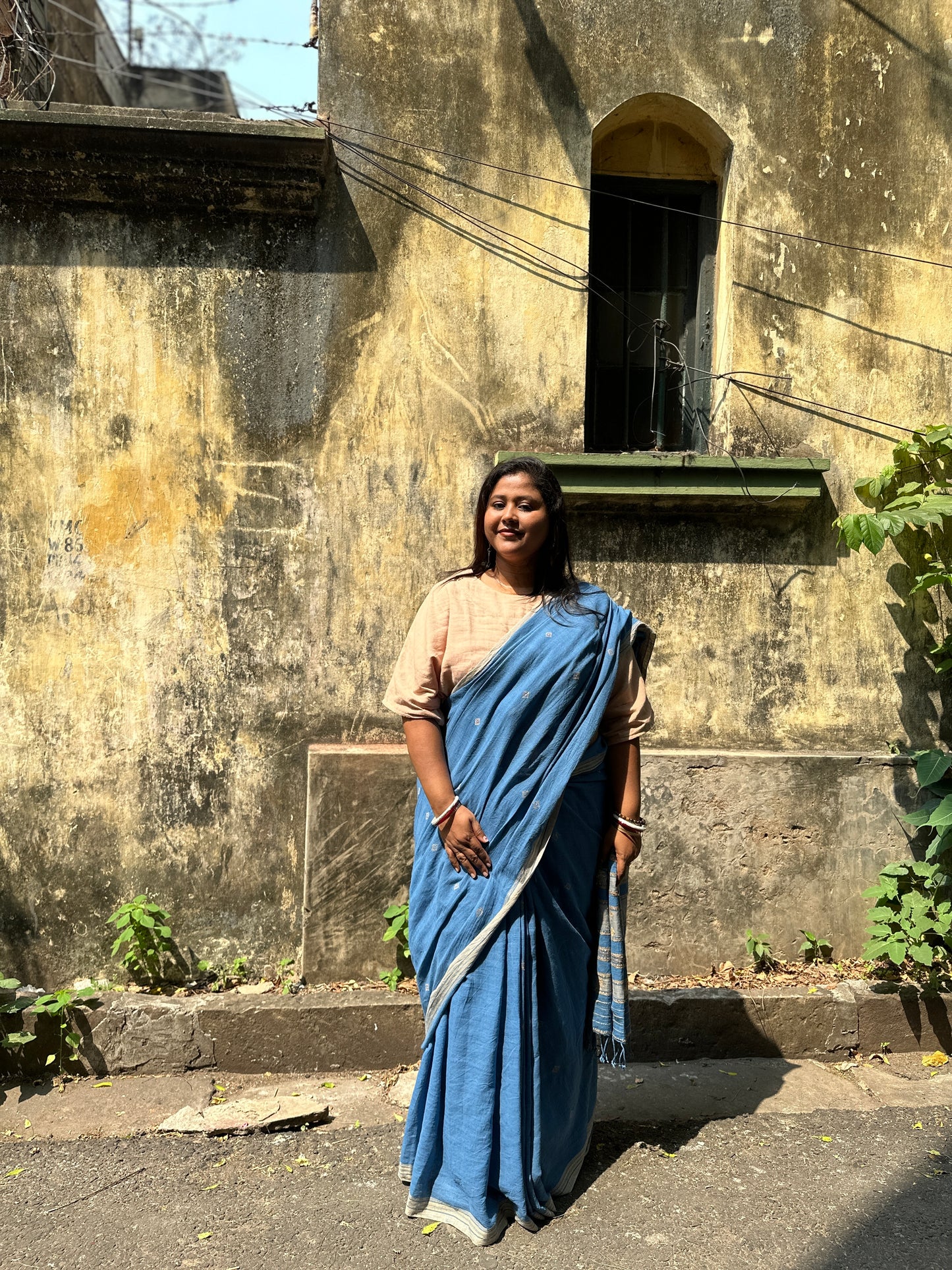 blue beige bhujodi saree