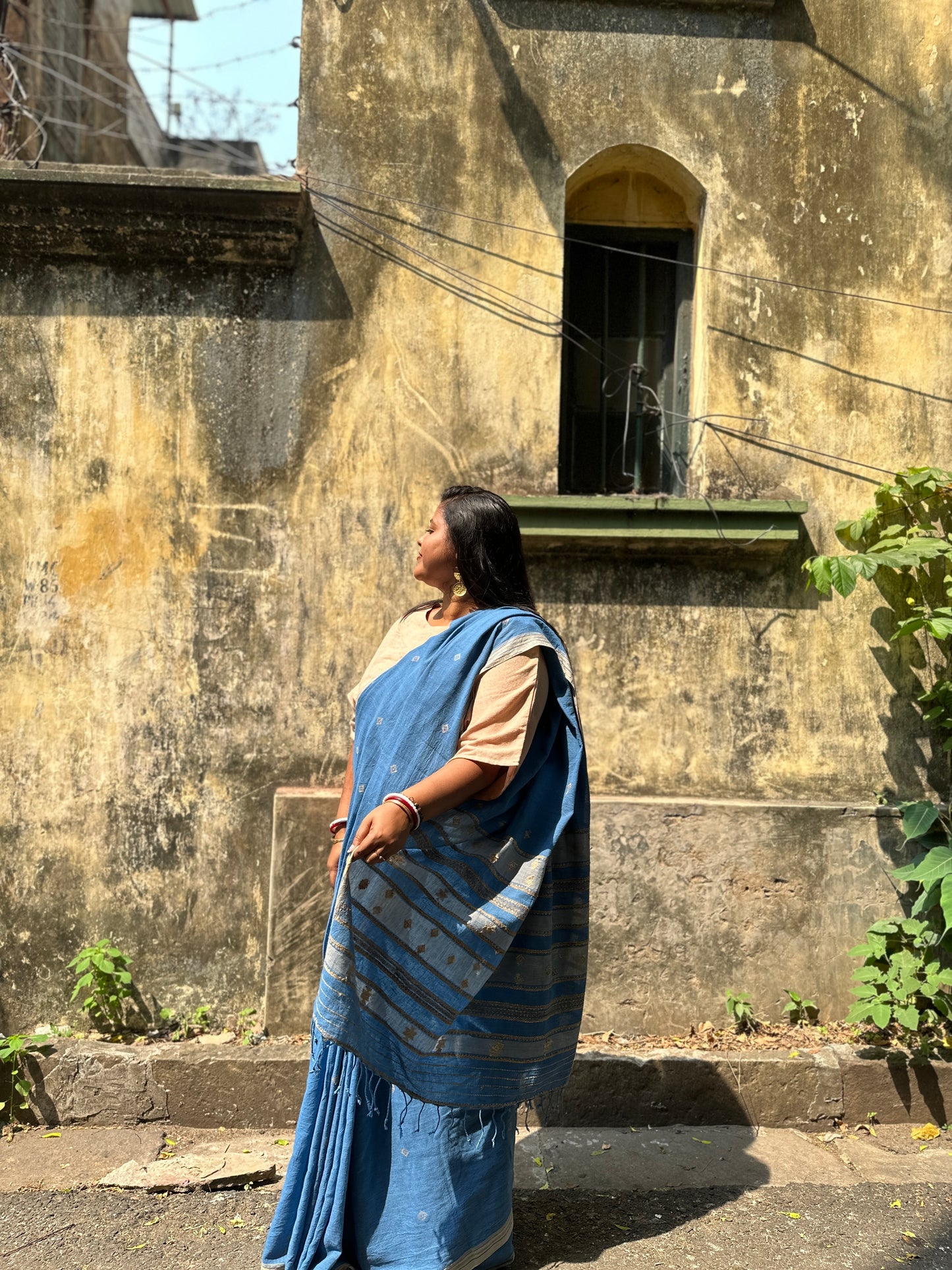 blue beige bhujodi saree