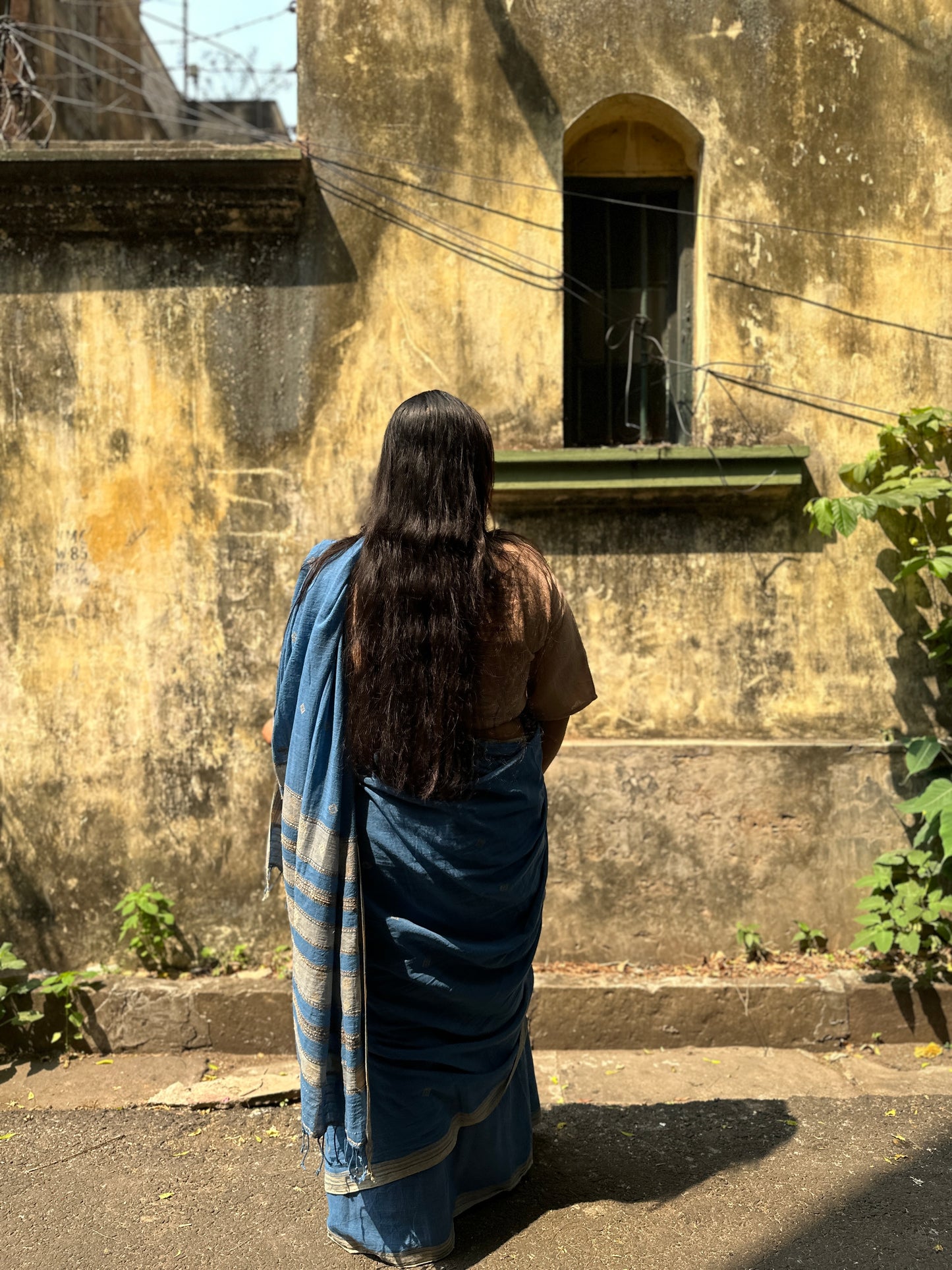 blue beige bhujodi saree