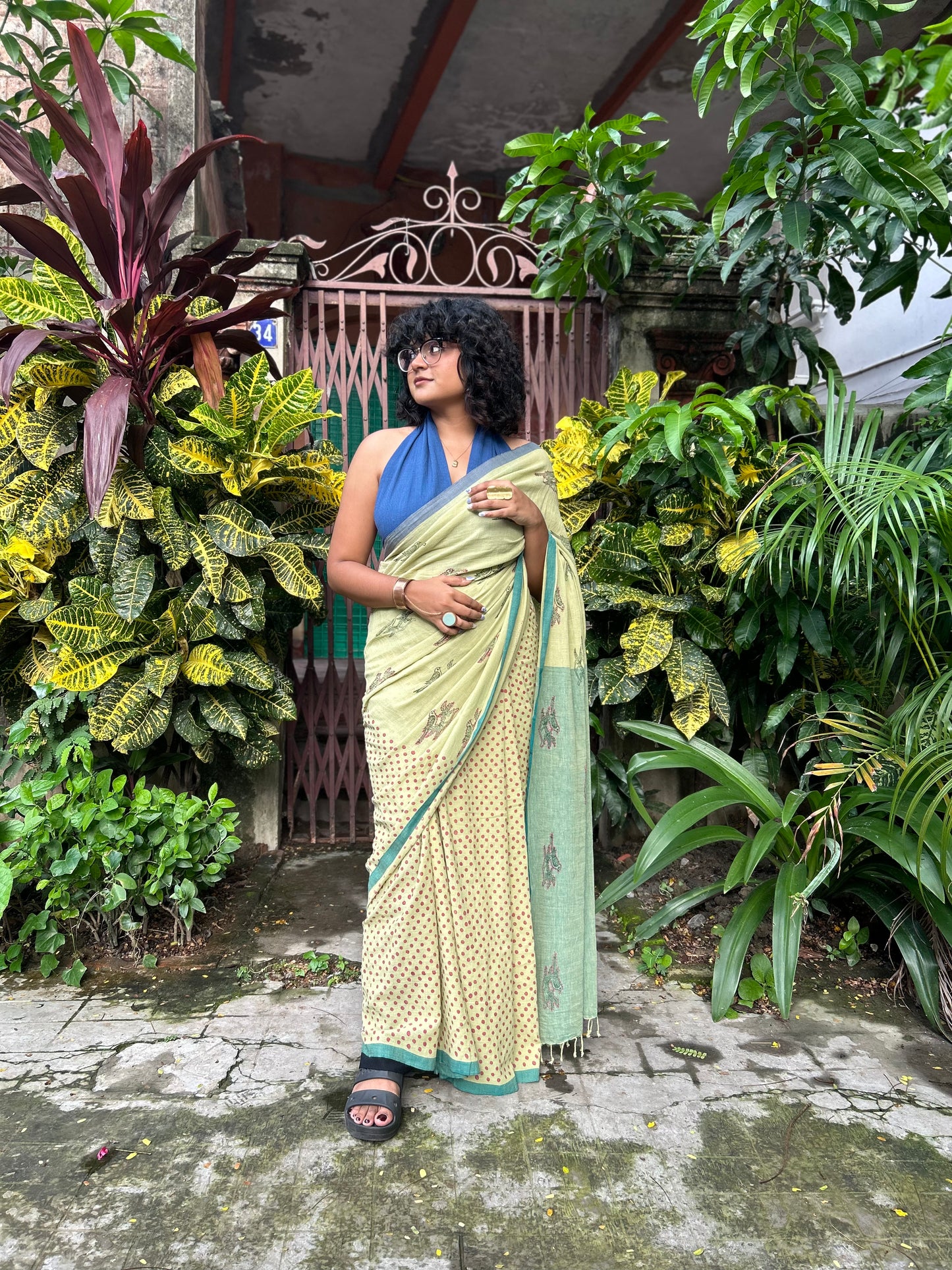 shuili parrot saree