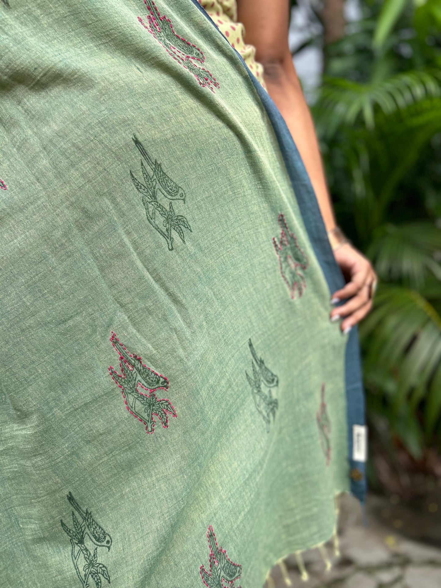 shuili parrot saree